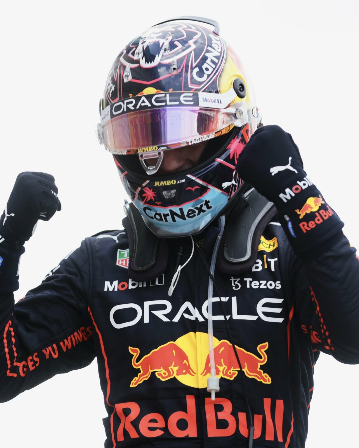 Max Verstappen, la sua gioia dopo aver raggiunto Senna